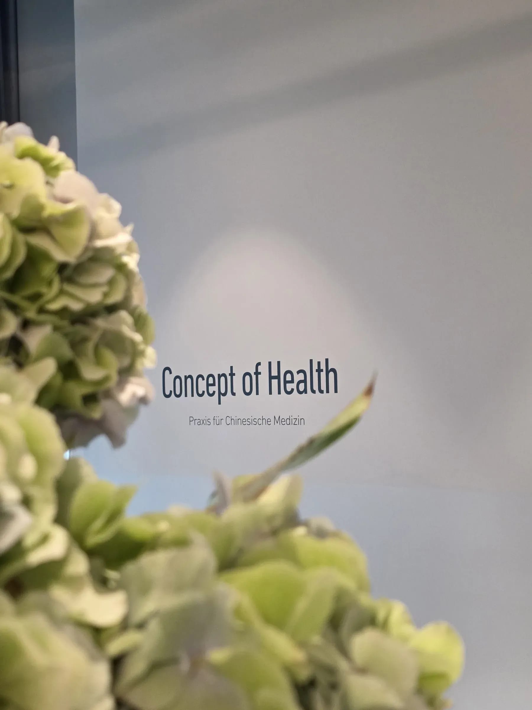Bonsai in front of the Concept of Health sign